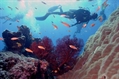 WYJAZD EGIPT – DAHAB
