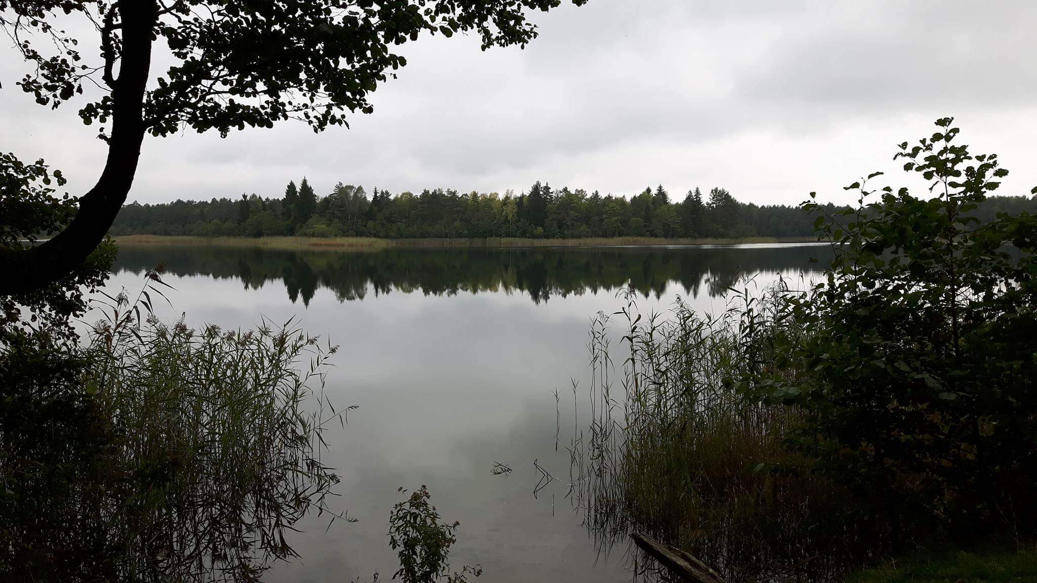 (Wy)nurzeni. Ekspedycja wigierska – Muliczne jesiennie