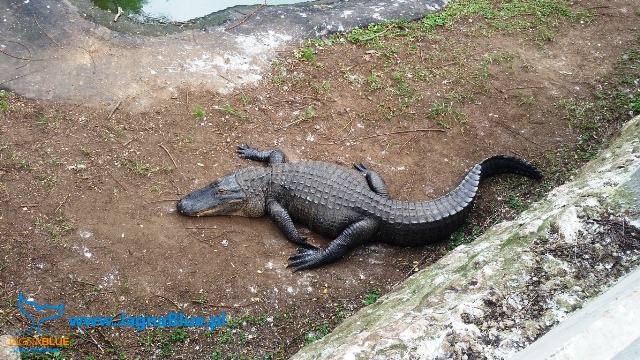 Afryka Południowa – relacja cz.3