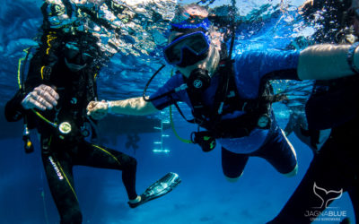 Jak przygotować się do kursu Basic Nitrox? Przewodnik dla początkujących