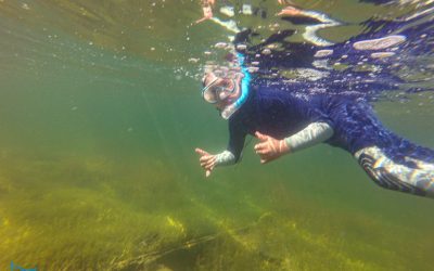 Szkoła nurkowa dla początkujących – pierwszy kurs nurkowania z JagnaBlue