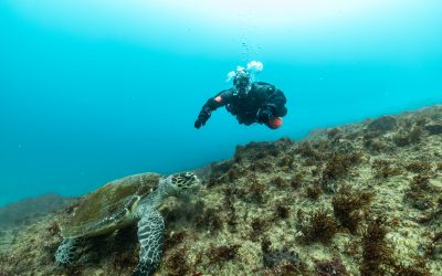 Wyprawa do Dahabu w Egipcie – co zabrać, by nurkowanie było bezpieczne i komfortowe