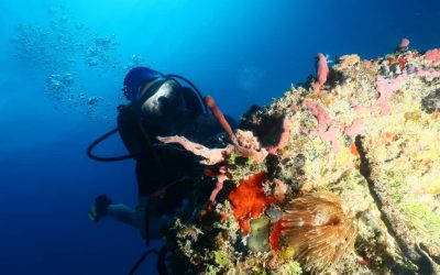 Szkoła nurkowania dla dzieci i dorosłych – nauka nurkowania w Podlaskiem